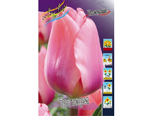 12,48���. ������� �������(���������� ������ ������ ���������� �� 10 ��.).jpg