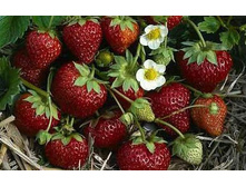 �������� ����� 35���.jpg ���������� ������ 3 ��