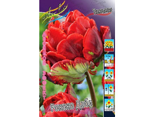 20,65���. ������� ������ ����(�������� ���� �� 10 ��., ����������� ����� 5��.).jpg