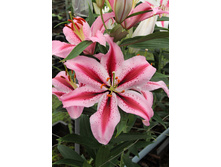 34,6���. ����� �������(�������� ���� �� 5 ��., ����������� ����� 3��.)���16.jpg