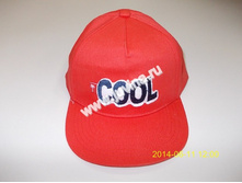 DSCN8155 (����������).jpg