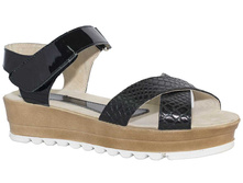 546 �������� ��� ������