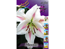 42,54���. ����� �����(�������� ���� �� 5 ��., ����������� ����� 1��.).jpg