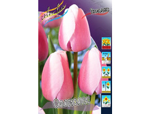 11,74���. ������� ��������(���������� ������ ������ ���������� �� 10 ��.)���16.jpg