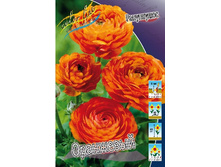 8,77���. ���������� ���������(���������� ������ ������ ���������� �� 10 ��.).jpg