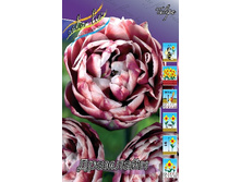 25,11���. ������� ��������(�������� ���� �� 10 ��., ����������� ����� 5��.).jpg