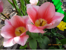 �������