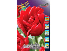 19,91���. ������� ��������(�������� ���� �� 10 ��., ����������� ����� 5��.).jpg