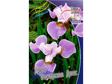 51,9���. ���� ��������� ���� �������� ����(�������� ���� �� 2 ��., ����������� ����� 1��.).jpg