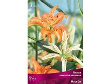 ����� ���� ��.jpg