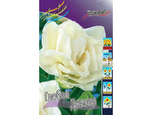 13,23���. ������� ������ ������(���������� ������ ������ ���������� �� 10 ��.).jpg