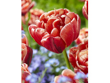 13,67���. ������� �����(���������� ������ ������ ���������� �� 10 ��.).jpg