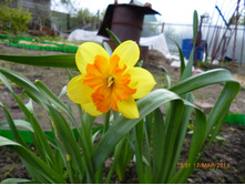 ���������