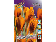 12,78���. ������ ����� ������(���������� ������ ������ ���������� �� 10 ��.).jpg