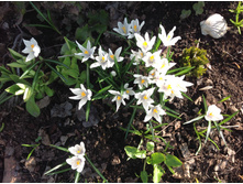 ������ �����