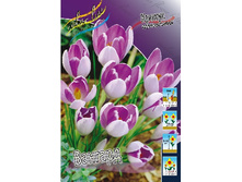 9,22���. ������ �������(���������� ������ ������ ���������� �� 10 ��.).jpg