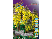 29,83���. ������� ������ ��������(�������� ���� �� 7 ��., ����������� ����� 3��.).jpg