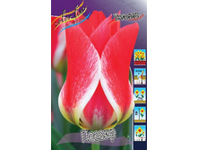 12,48���. ������� ������(���������� ������ ������ ���������� �� 10 ��.).jpg