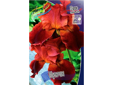 81,8���. ���� ���������� �����(�������� ���� �� 2 ��., ����������� ����� 1��.).jpg