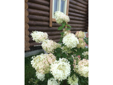 ������ 15.08.16