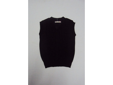 IMG S132 ENL.JPG