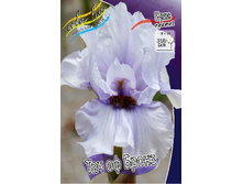 81,8���. ���� ���������� ��� �� �����(�������� ���� �� 2 ��., ����������� ����� 1��.).jpg