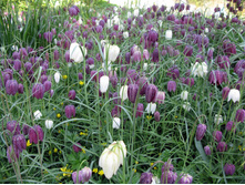 7,28���. ����������� ���������, �����(���������� ������ ������ ���������� �� 10 ��.).jpg