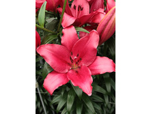 17,11���. ����� ������(���������� ������ ������ ���������� �� 7 ��.).jpg