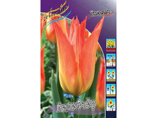 12,48���. ������� ��������(���������� ������ ������ ���������� �� 10 ��.).jpg