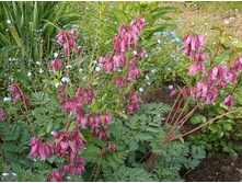 �������� Stuard Boothman