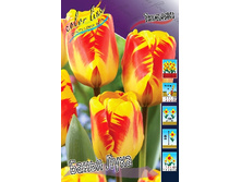 11,15���. ������� ����� ����(���������� ������ ������ ���������� �� 10 ��.)���16.jpg