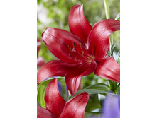 18,7���. ����� �����(���������� ������ ������ ���������� �� 7 ��.).jpg