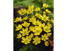 12,48���. ������� (��������) ������(���������� ������ ������ ���������� �� 10 ��.)���17.jpg