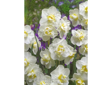 14,71���. ������� ���� ����������(���������� ������ ������ ���������� �� 10 ��.)���17.jpg