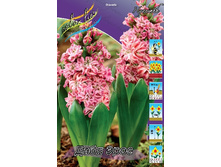 42,8���. ������� ���� ����(�������� ���� �� 5 ��., ����������� ����� 1��.).jpg