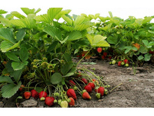 ��������� �����.jpg