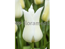 15,01���. ������� ������� ����(�������� ���� �� 10 ��., ����������� ����� 5��.)���17.jpg