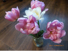 ���� ������