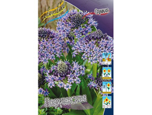 104,75���. ������ ����������(�������� ���� �� 2 ��., ����������� ����� 1��.).jpg