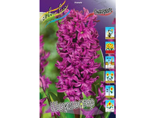 18,28���. ������� ��������� 14-15 (���������� ������ ������ ���������� �� 5 ��.)���16.jpg