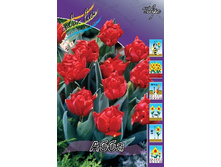 12,19���. ������� ����(���������� ������ ������ ���������� �� 10 ��.).jpg