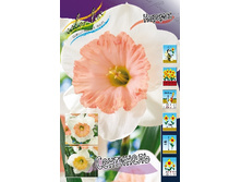 18,43���. ������� ���������(�������� ���� �� 10 ��., ����������� ����� 5��.).jpg