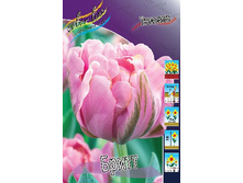 13,97���. ������� �����(���������� ������ ������ ���������� �� 10 ��.).jpg