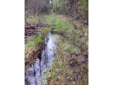 IMG 20170508 153049.jpg