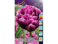 13,23���. ������� ����� ����(���������� ������ ������ ���������� �� 10 ��.).jpg