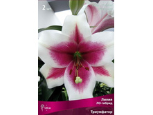 ����� ����������.jpg