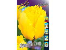 11,74���. ������� ������� ����(���������� ������ ������ ���������� �� 10 ��.).jpg