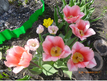 �������