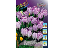 7,28���. ������ ������(���������� ������ ������ ���������� �� 10 ��.).jpg