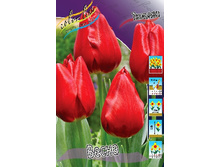 14,71���. ������� �����(���������� ������ ������ ���������� �� 10 ��.)���16.jpg